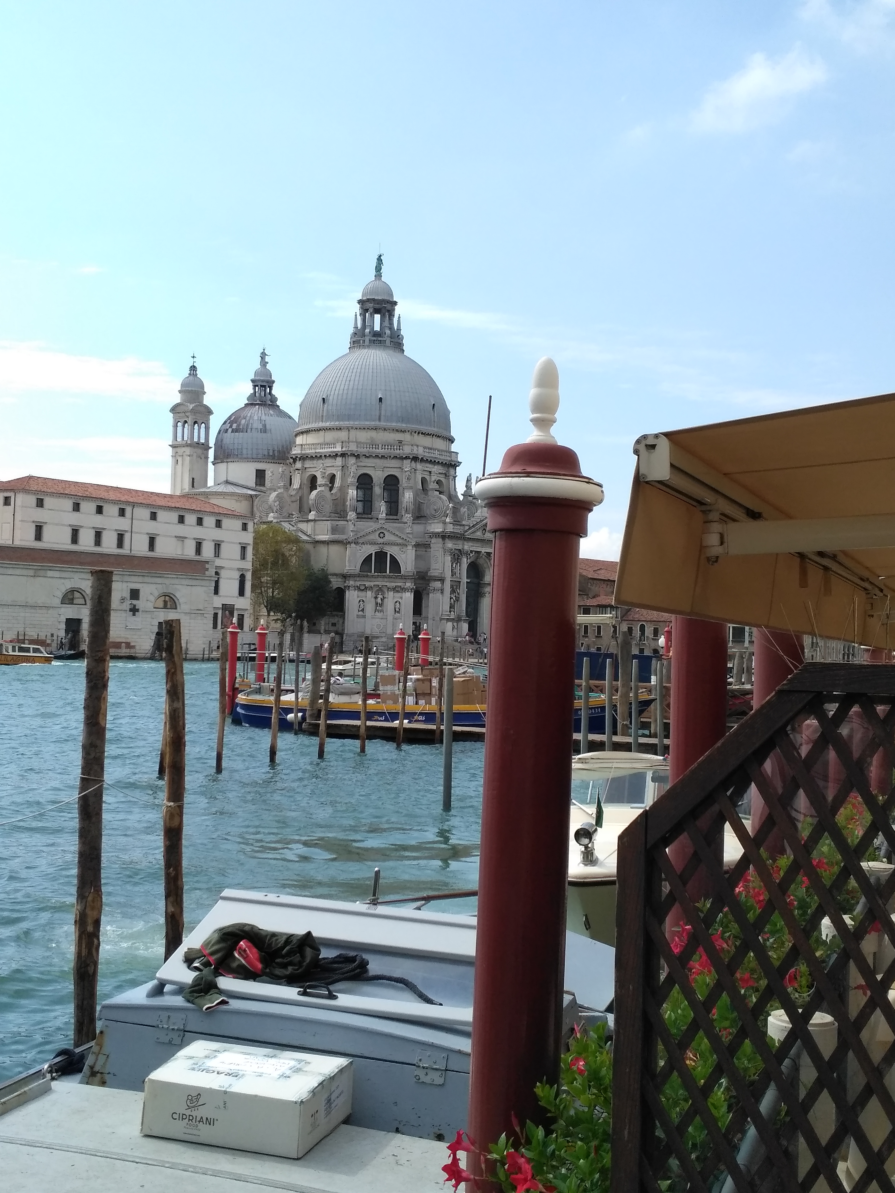IMG_20160920_122513.jpg